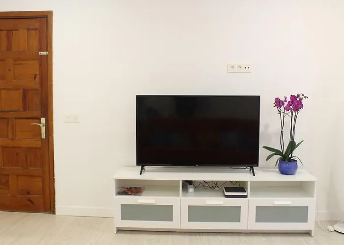 Piso Lagunero Acogedor * La Laguna (Tenerife)